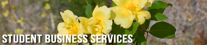 studentbusinessservicesbannerimage