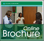 brochure online