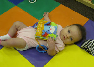Elephant Pictures - College of Education and Human Sciences
