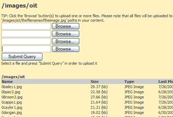 Upload Documents/ Images Example