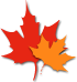 fall