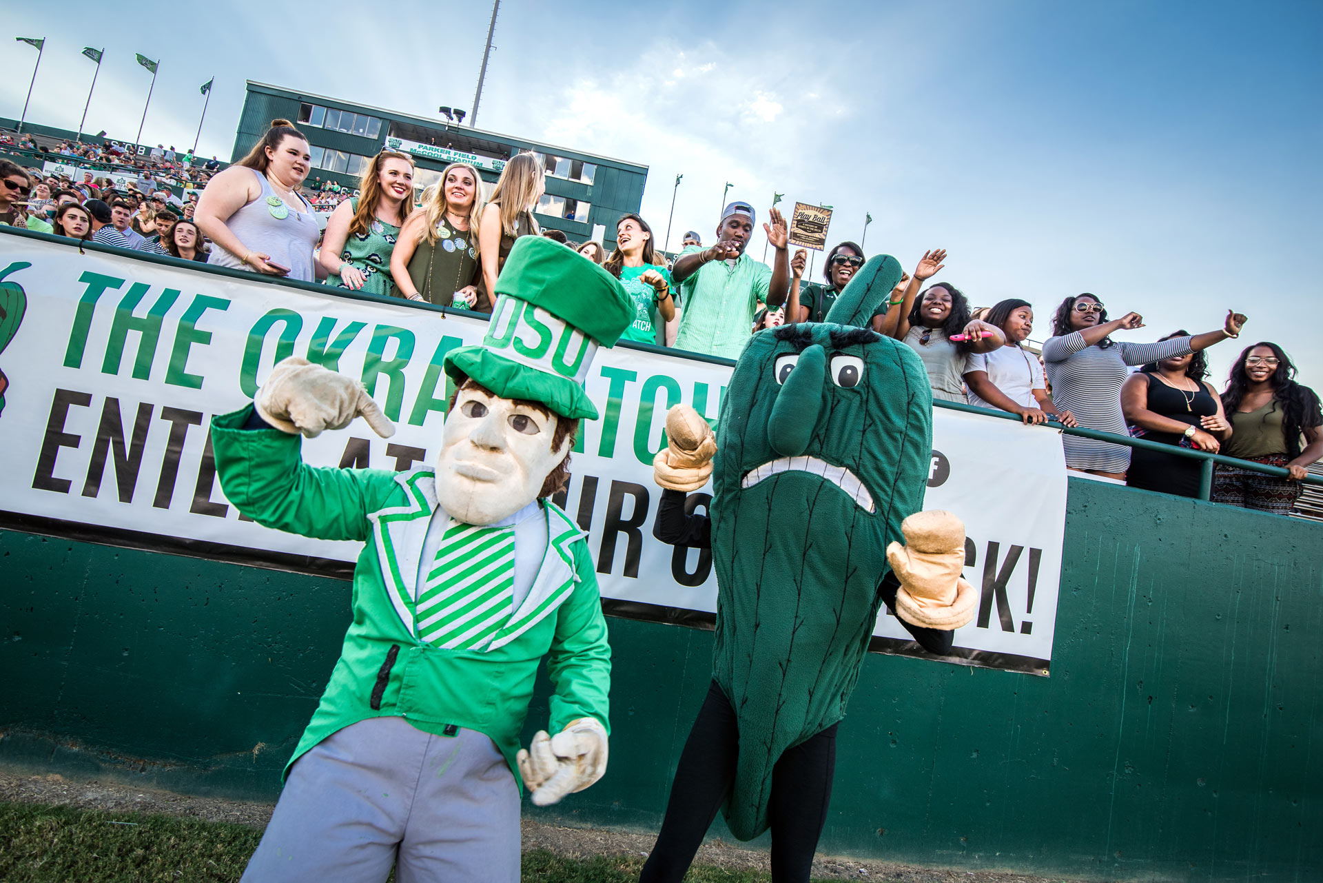 About DSU Delta State University
