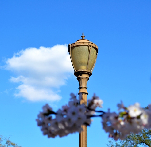 Photo: To help reduce energy costs, lighting across campus is activated by the amount of natural light provided or only set to come on at night.