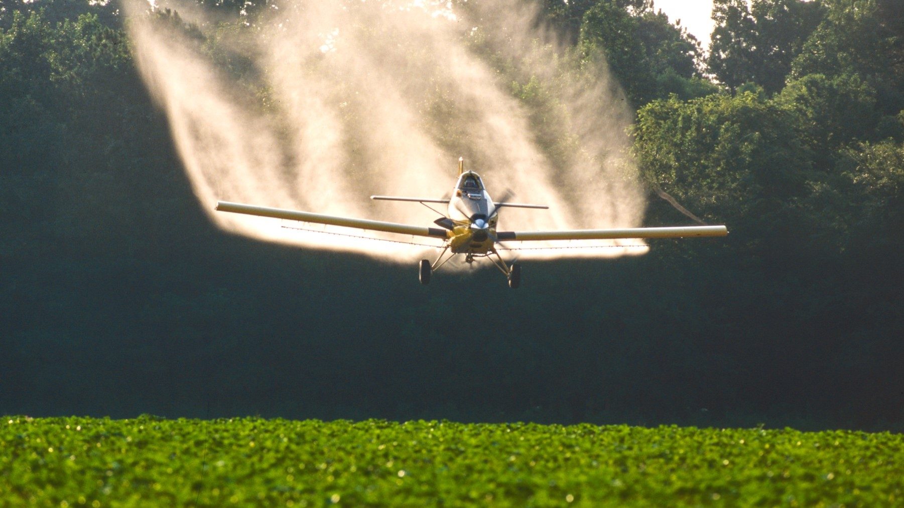 Crop duster plane spraying green field with chemicals.