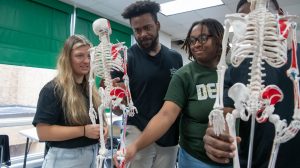 Four students examining human skeleton models sitting on a table.