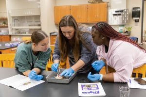 Three students in a science lab wearing blue gloves and focusing on a dissection activity. The middle students is using the dissection tools while the other two observe closely.