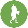 Okra Icon