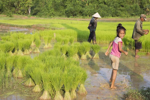 Travel - Laos (GIT)