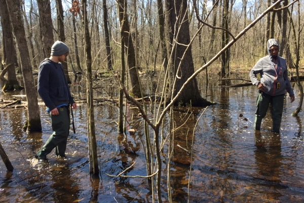 Students take leaf sample at Dahomey National Wildlife Refuge, in Boyle, MS.