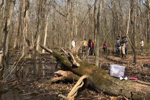 Students in Materials and Methods class test water quality and place leaf traps at Dahomey National Wildlife Refuge.