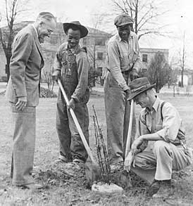 President Kethley planting a tulip