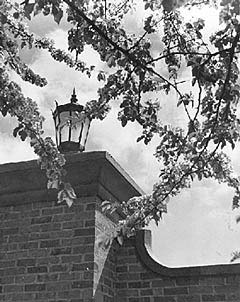 Lamp at Delta State entrance