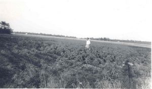 Person in field. B&W.