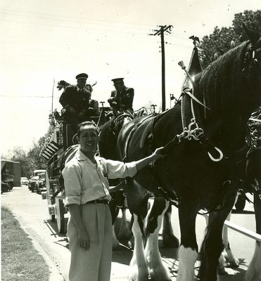 Man pets very large horse, B&W.