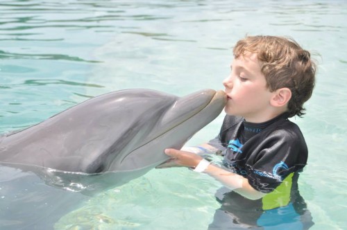 Braxton kisses a dolphin on his cruise.