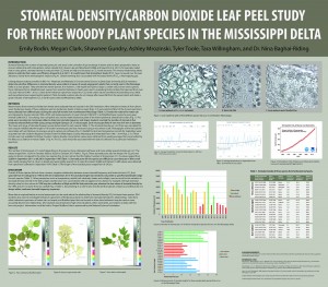 CO2-Stomata-Study-FINAL-cs3