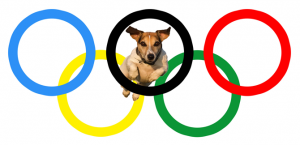 Dog-Olympics-Art