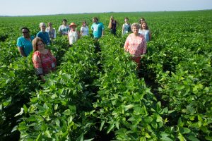 NEH workshop participants experiencing the Delta's rich fertile soil.