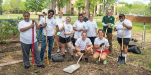 Students volunteering in community garden for the Big Green Event.