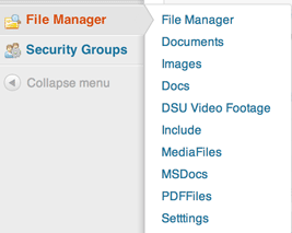 File Manager Menu