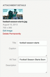Alternative Text Screenshot